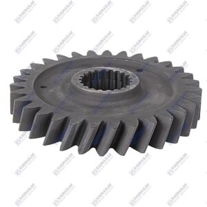 Gear (31 T)