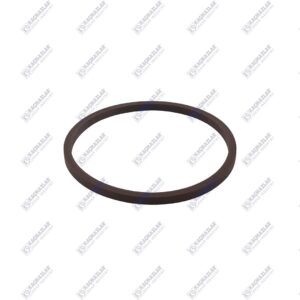 20412974 20769993 Sealing ring