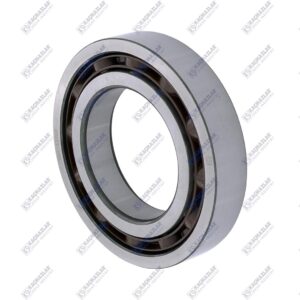 21005761 20785448 21001044 Roller Bearing