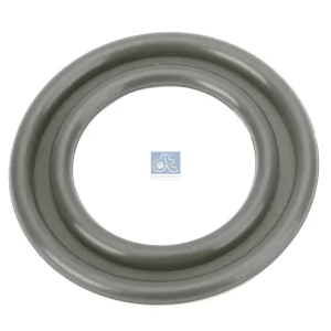 Seal Ring
