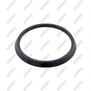 Oil seal