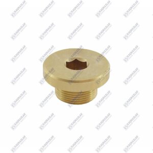 PLUG KIT (WITH O-RING)